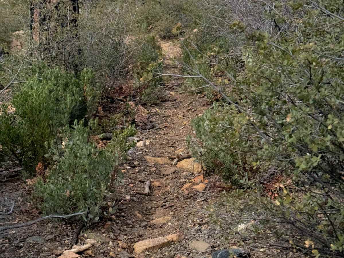 Cement Troughs Trail #918  trail photo