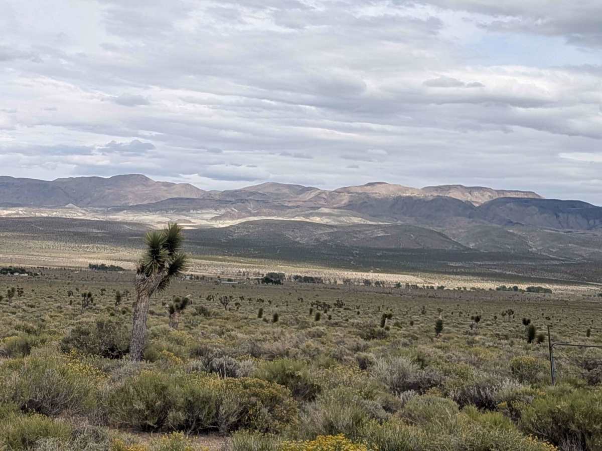 BLM SE741a photo 5
