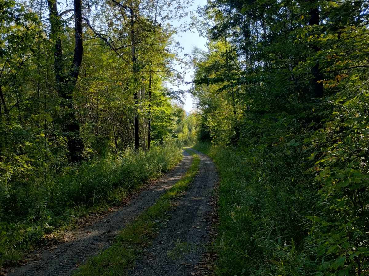 Johnson Mine Road photo 6