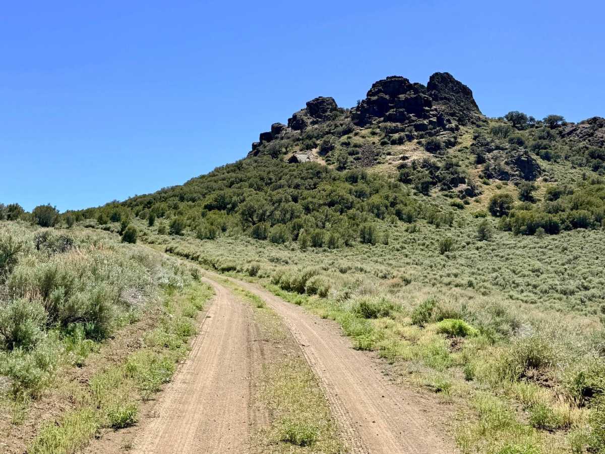 Dobbin Summit - FS 139 trail photo