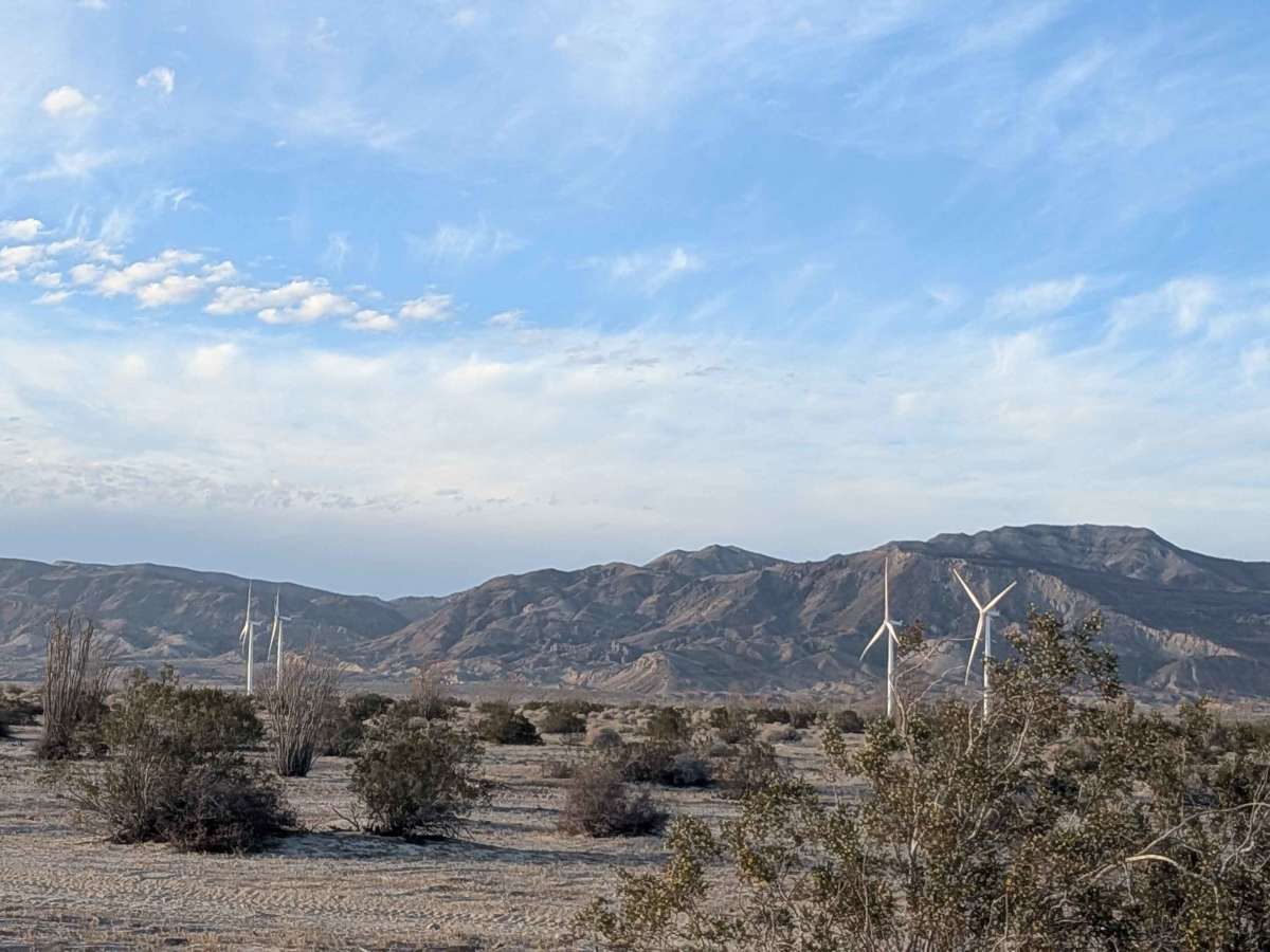 BLM 229 photo 2