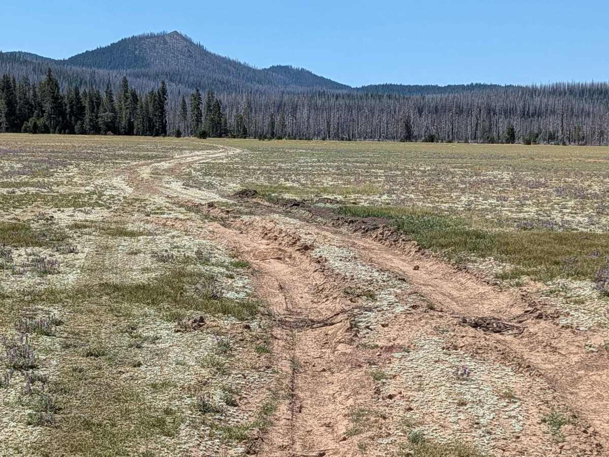 Horse Spur A - FS 44N08A trail photo