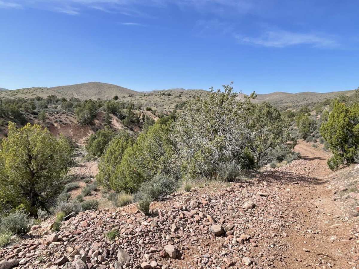 Grapevine Wash Connector photo 6