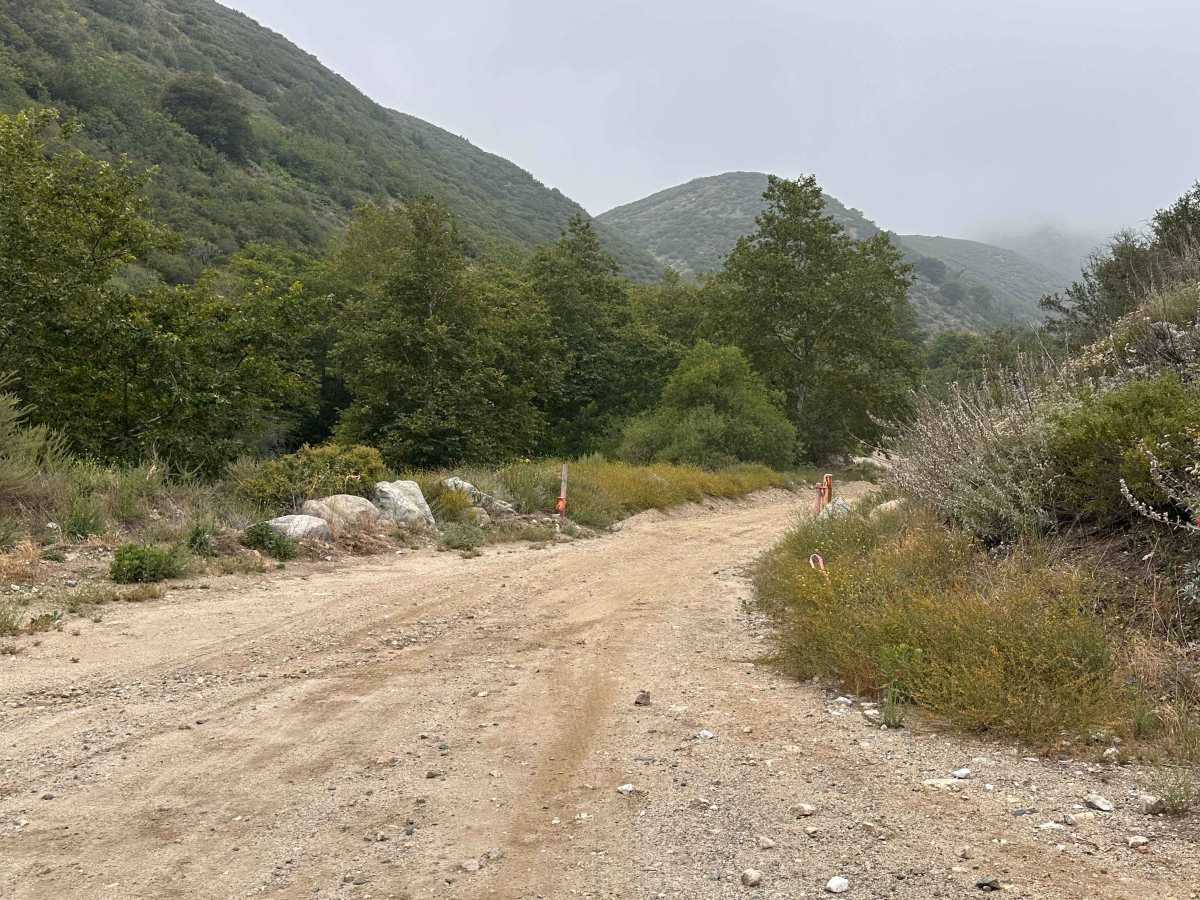 Wagon Track Trail photo 6
