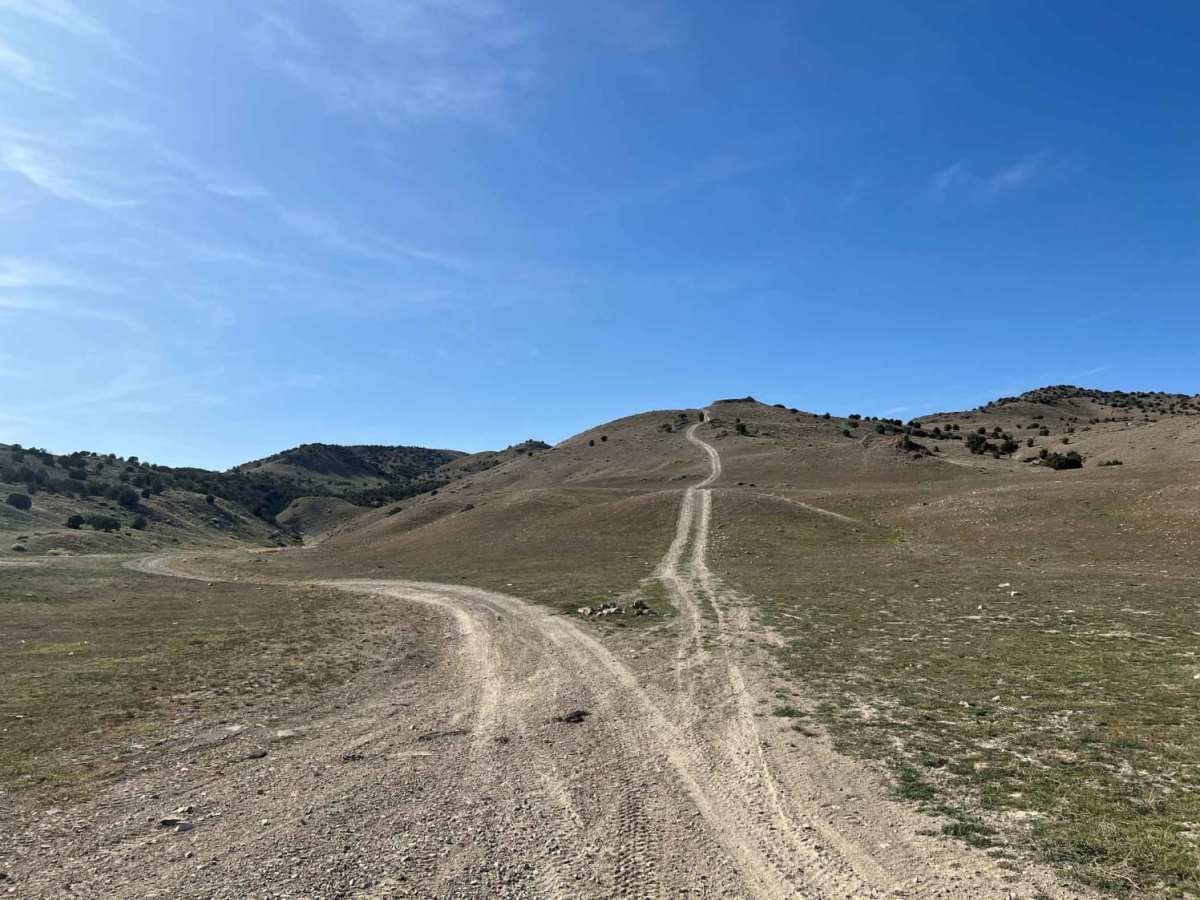 Cedar Pass photo 2