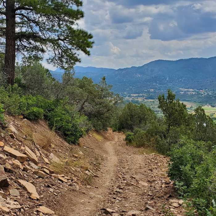 Near Animas Mountain Trail
