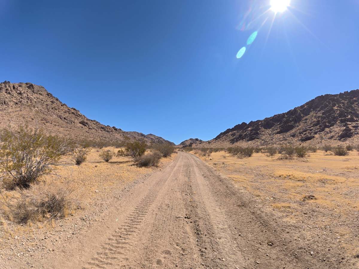 BLM SV2673 photo 6