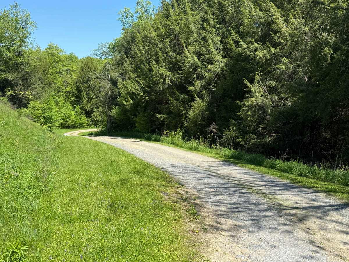 Hubert Run A - FS 488A trail photo
