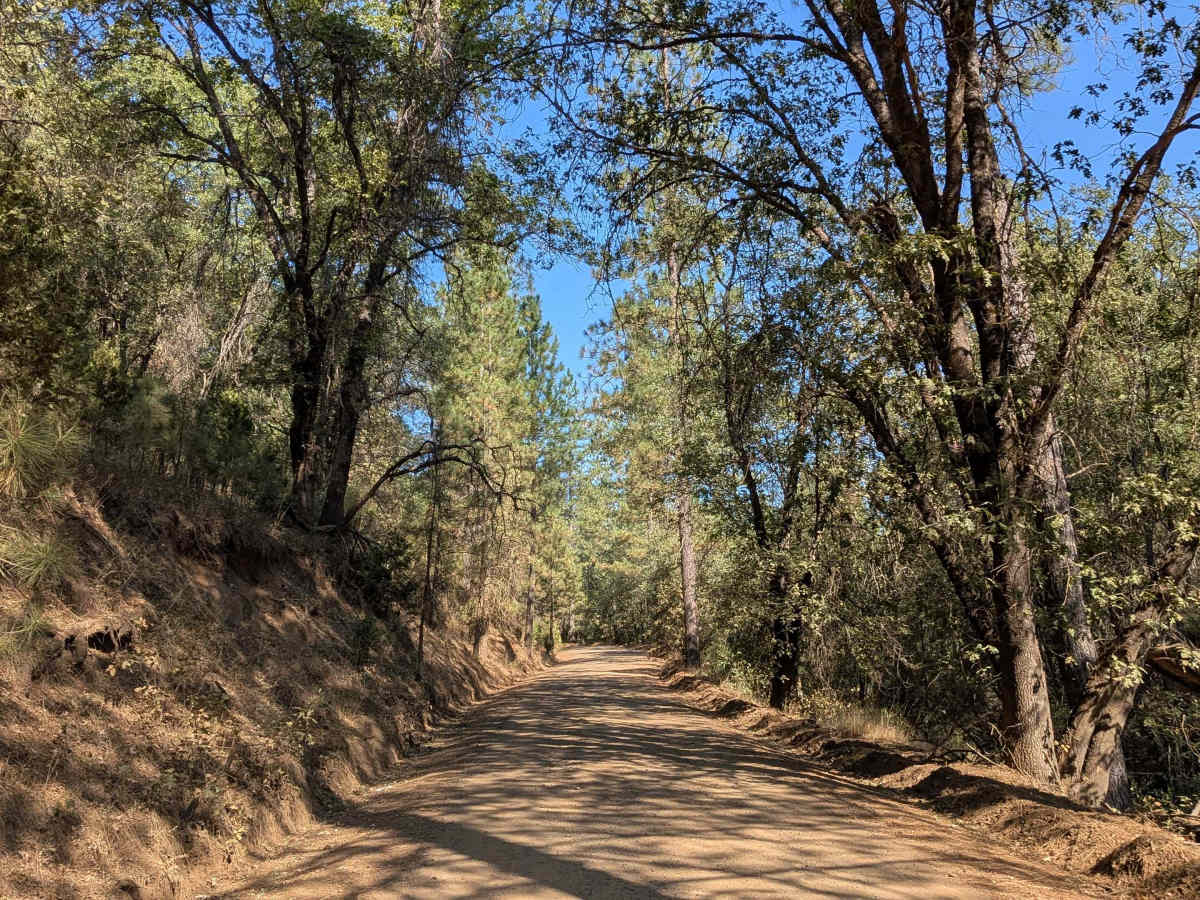 Bull Creek Road North photo 4