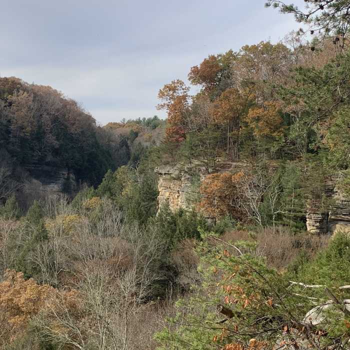 Near Conkles Hollow Gorge Trail