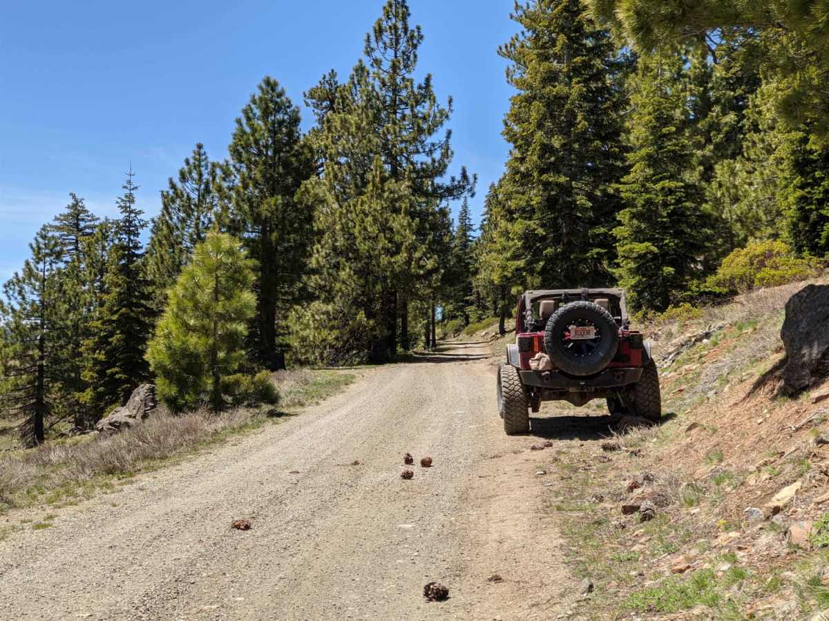 Wagner & Siskiyou photo 2