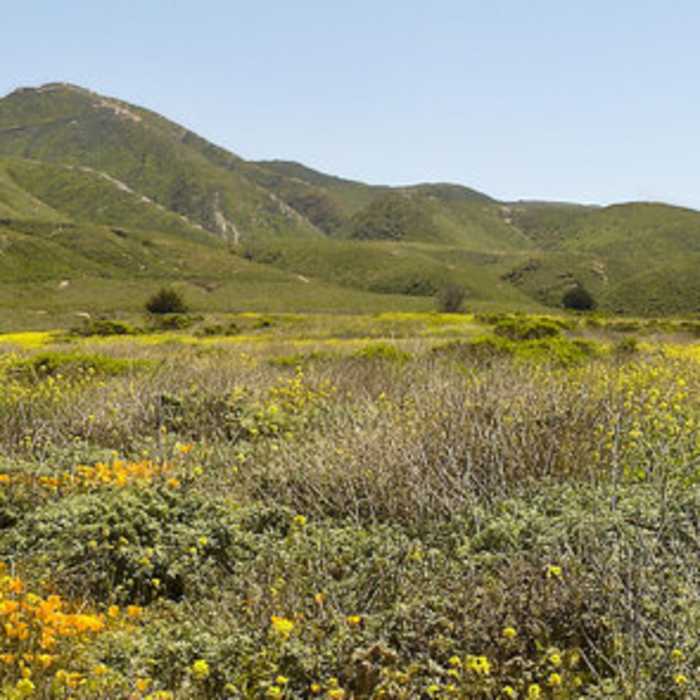 Near Bluff - Rattlesnake Flats - Coon Creek Loop
