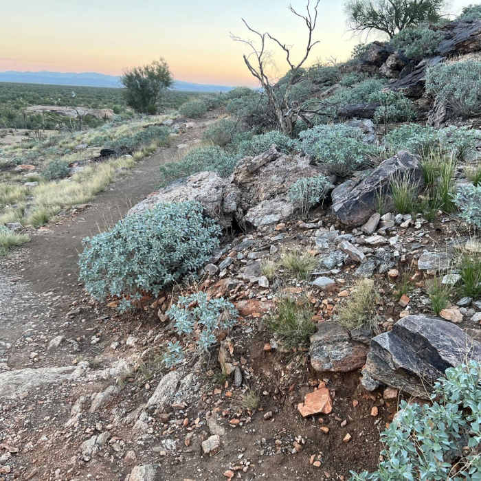 Near Mule Deer Trail