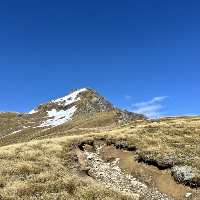Near Avalanche Peak via Scott's Track Near Avalanche Peak via Scott's Track