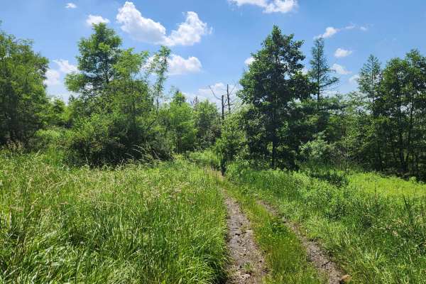 Trail 8C - Rock Run Recreation Area
