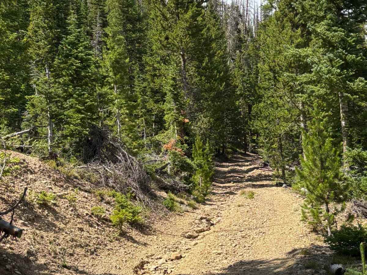 Hot Sulphur Spur Road photo 5