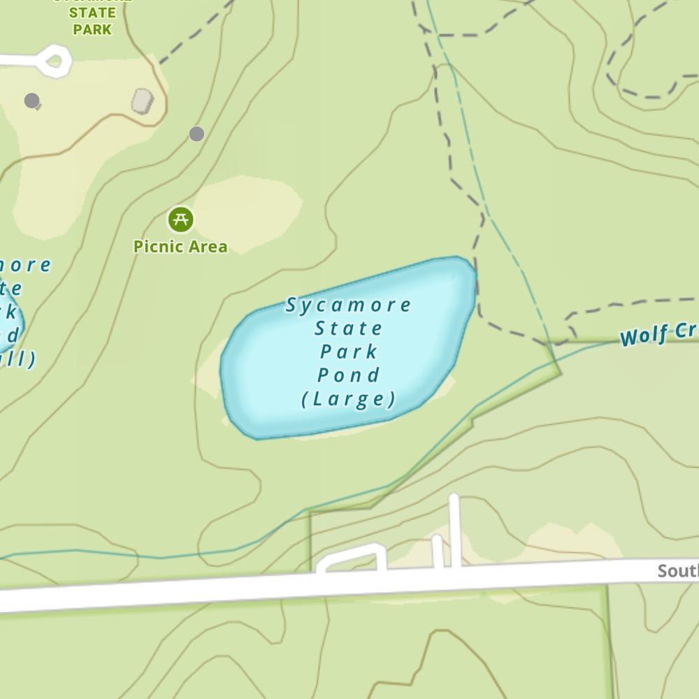 SYCAMORE STATE PARK POND (LARGE)
