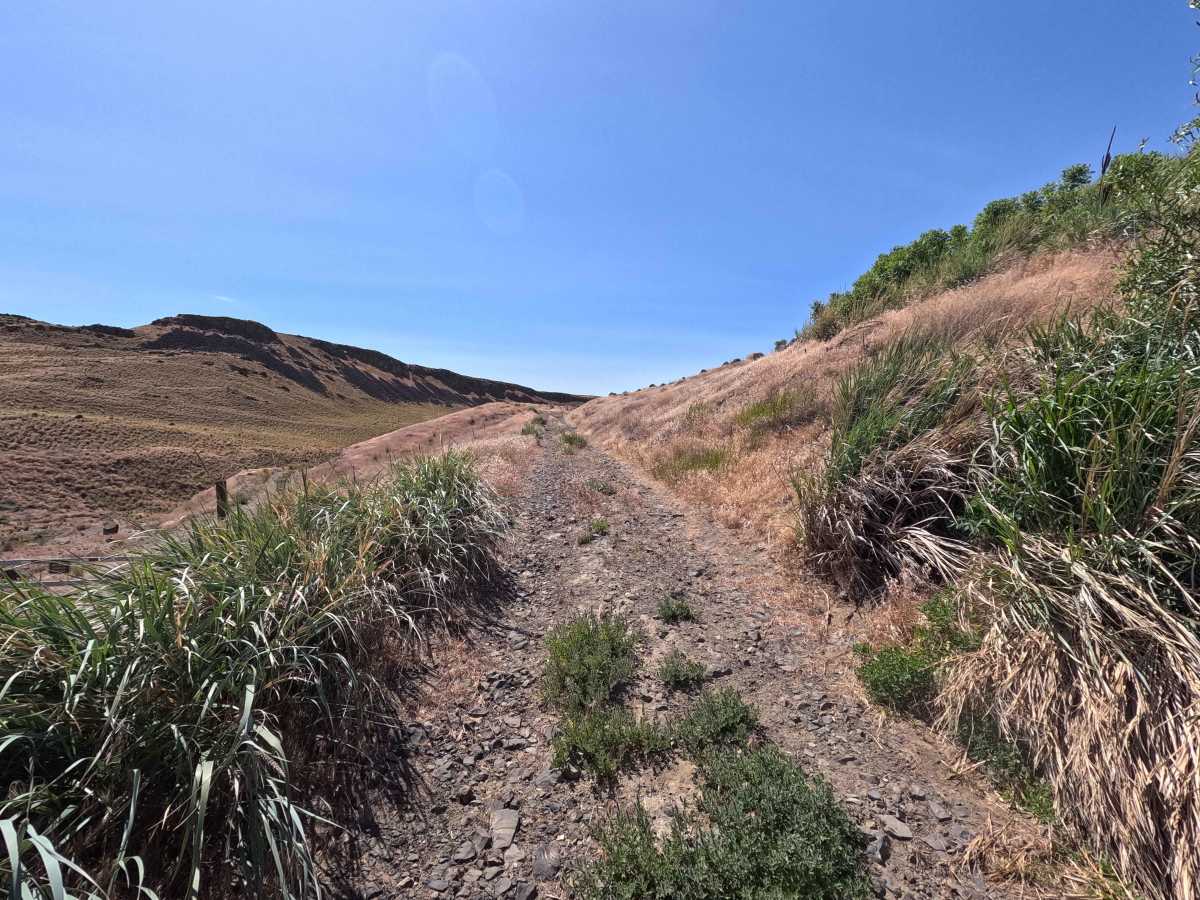 Jacknife Ridge Road photo 2