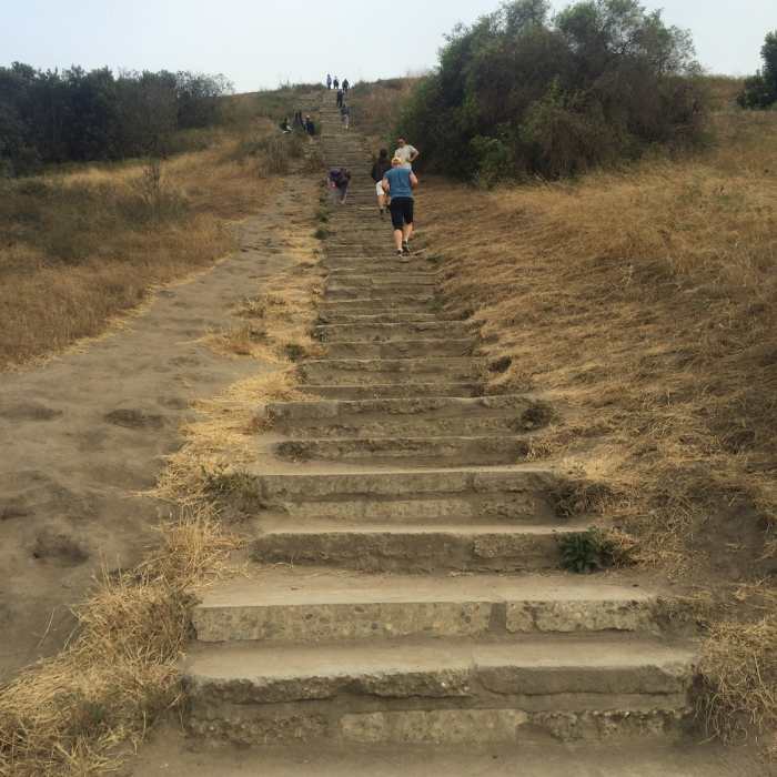 Near Hillside Trail (Baldwin Hills Overlook)