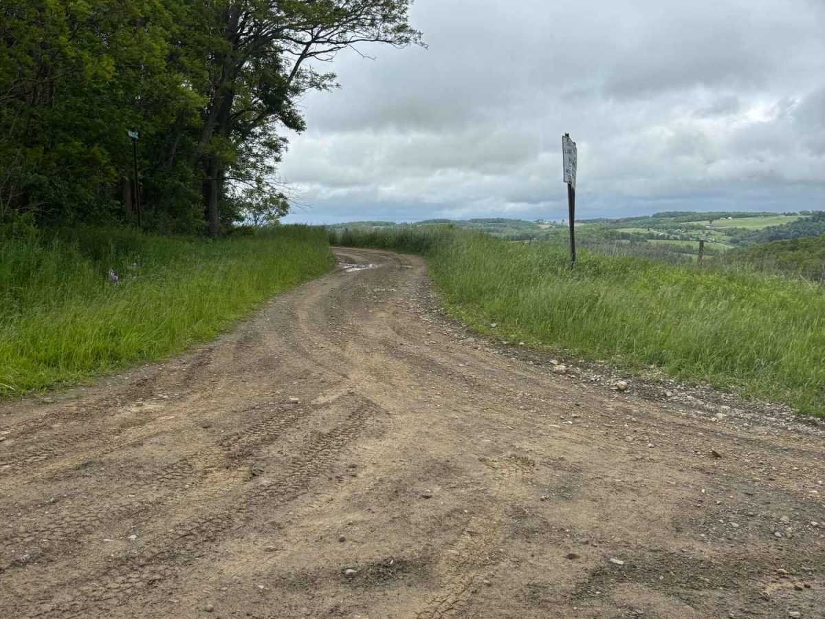 Morris Road trail photo