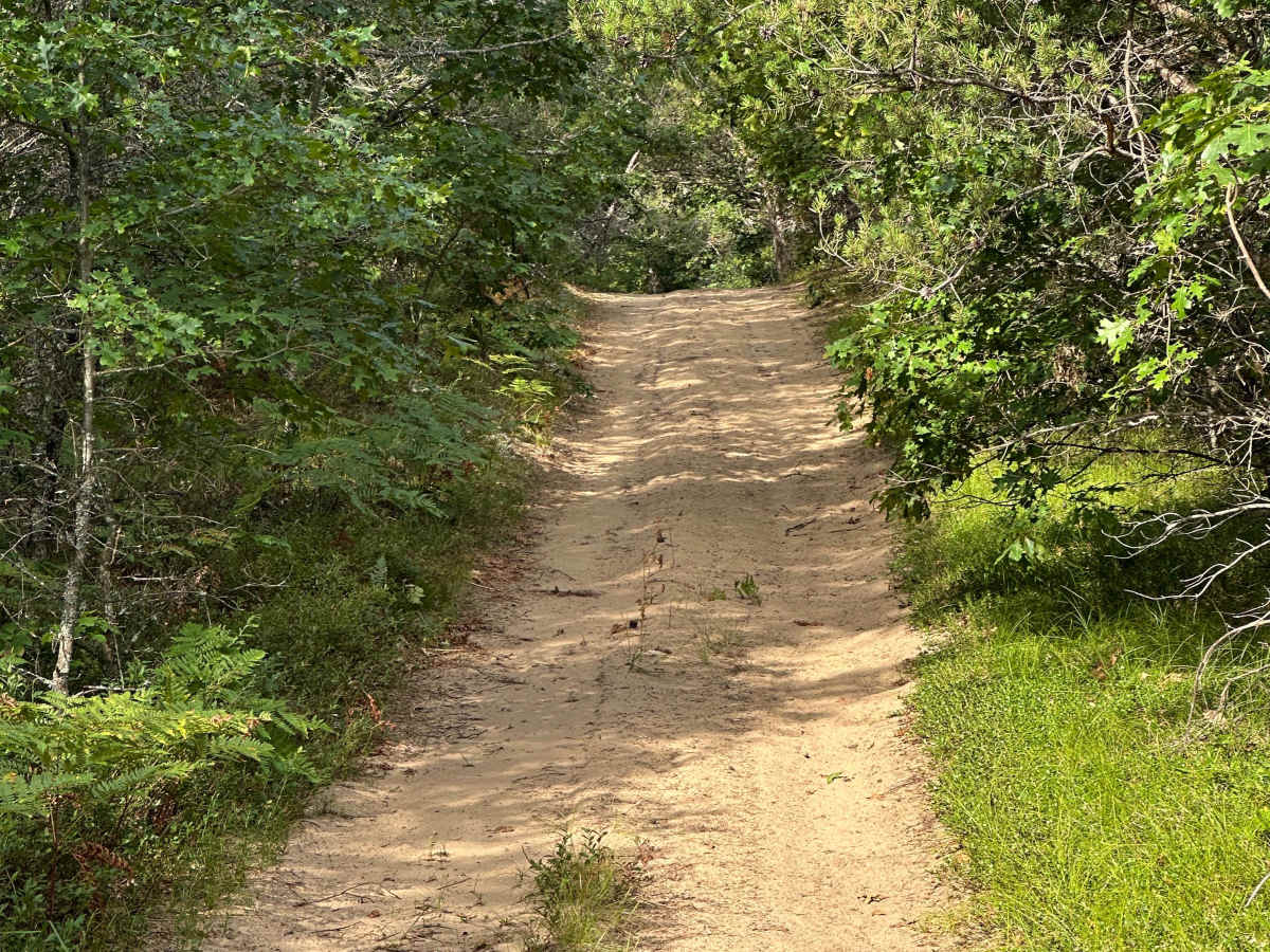 Pond Road  photo 3
