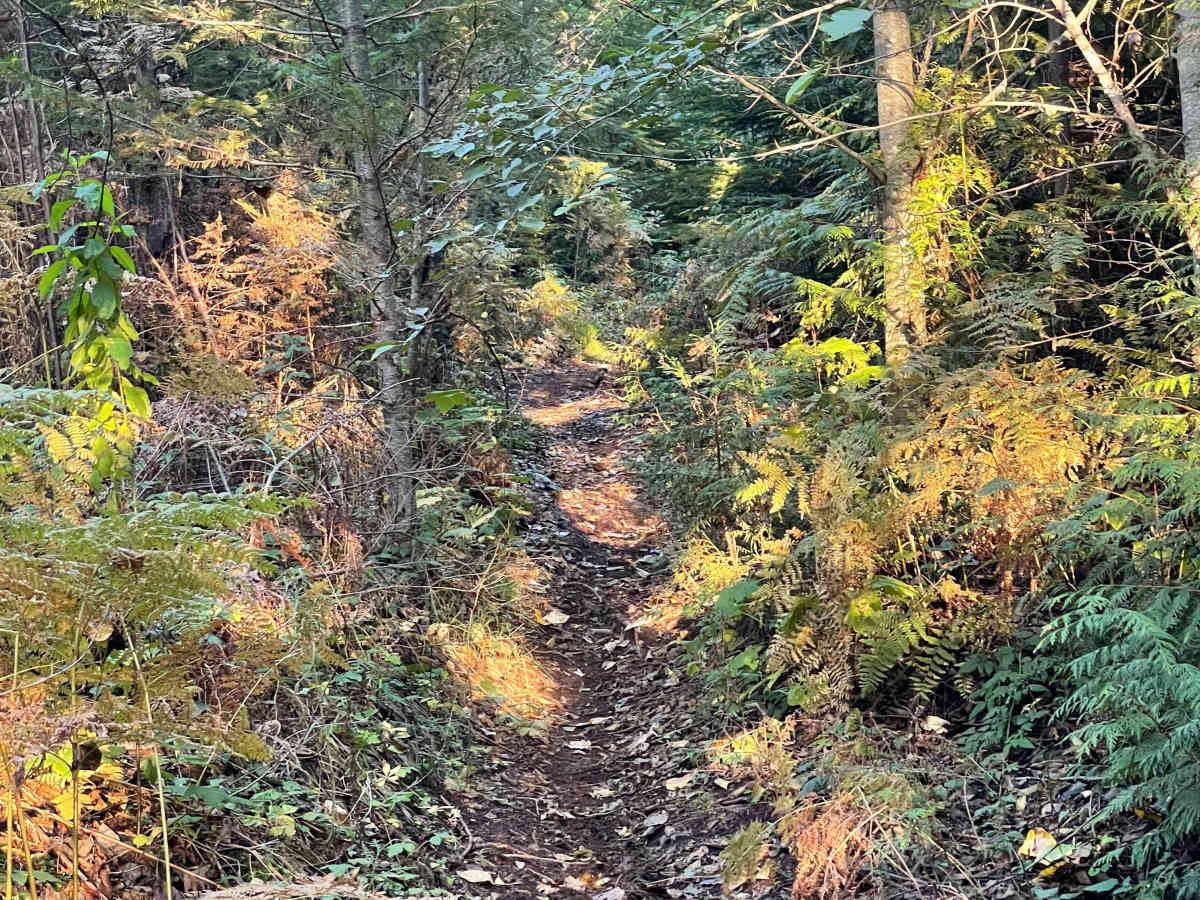 Hell's Stairway photo 3