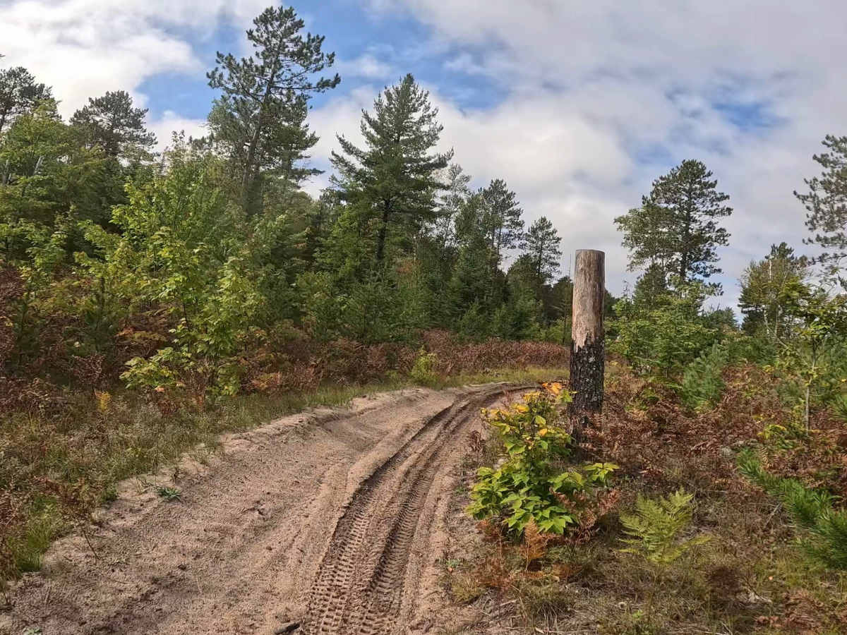 Two Hearted Trail (North) photo 3