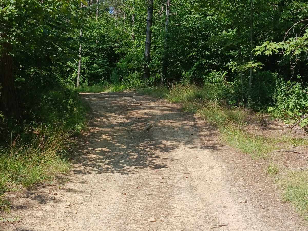 Opossum Run - Rock Run Recreation Area photo 6