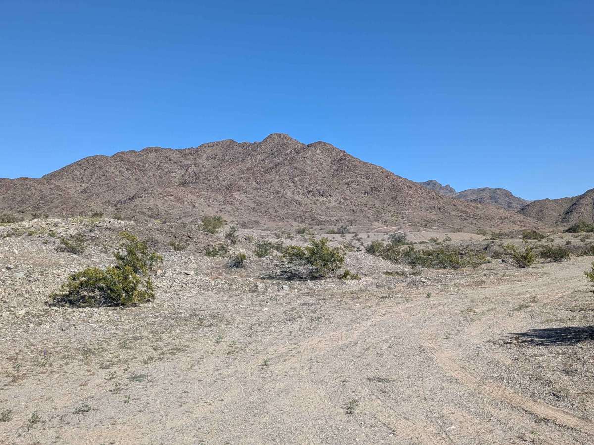Tom Wells Road - EC1268 photo 6