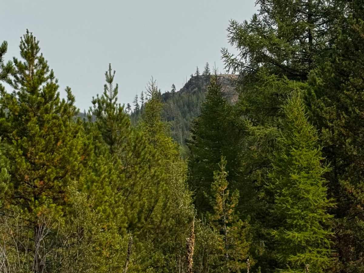 Elk Mountain Loop photo 3