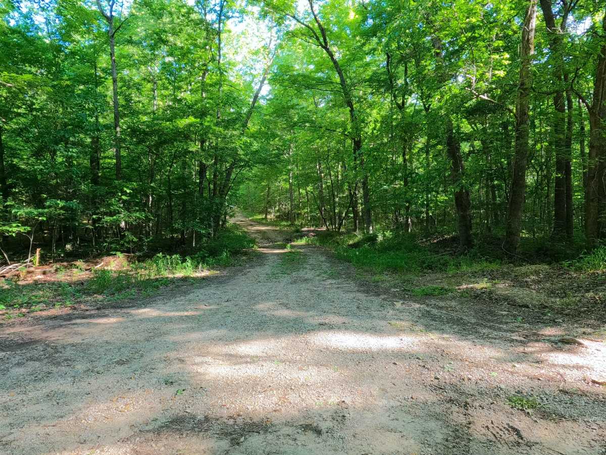 Sheehy Road - FS 3741 photo 3