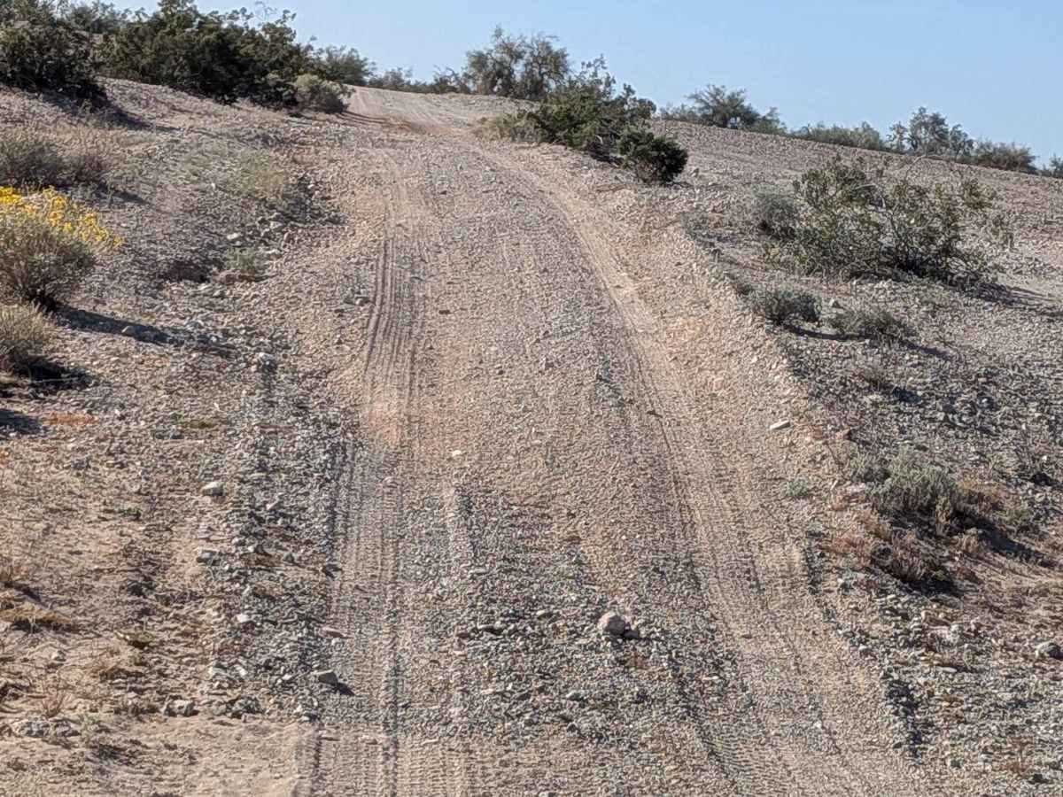 BLM 668 trail photo