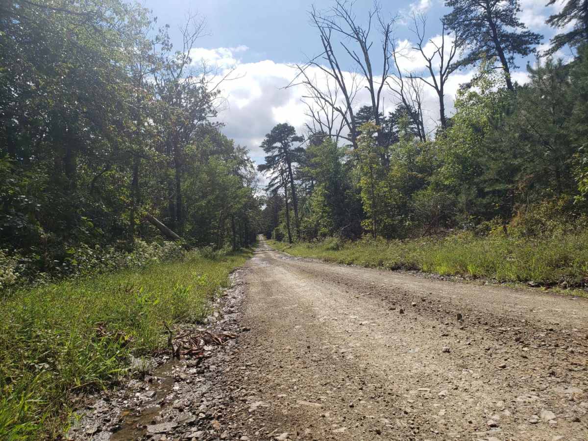 Michaux Ridge Road photo 2