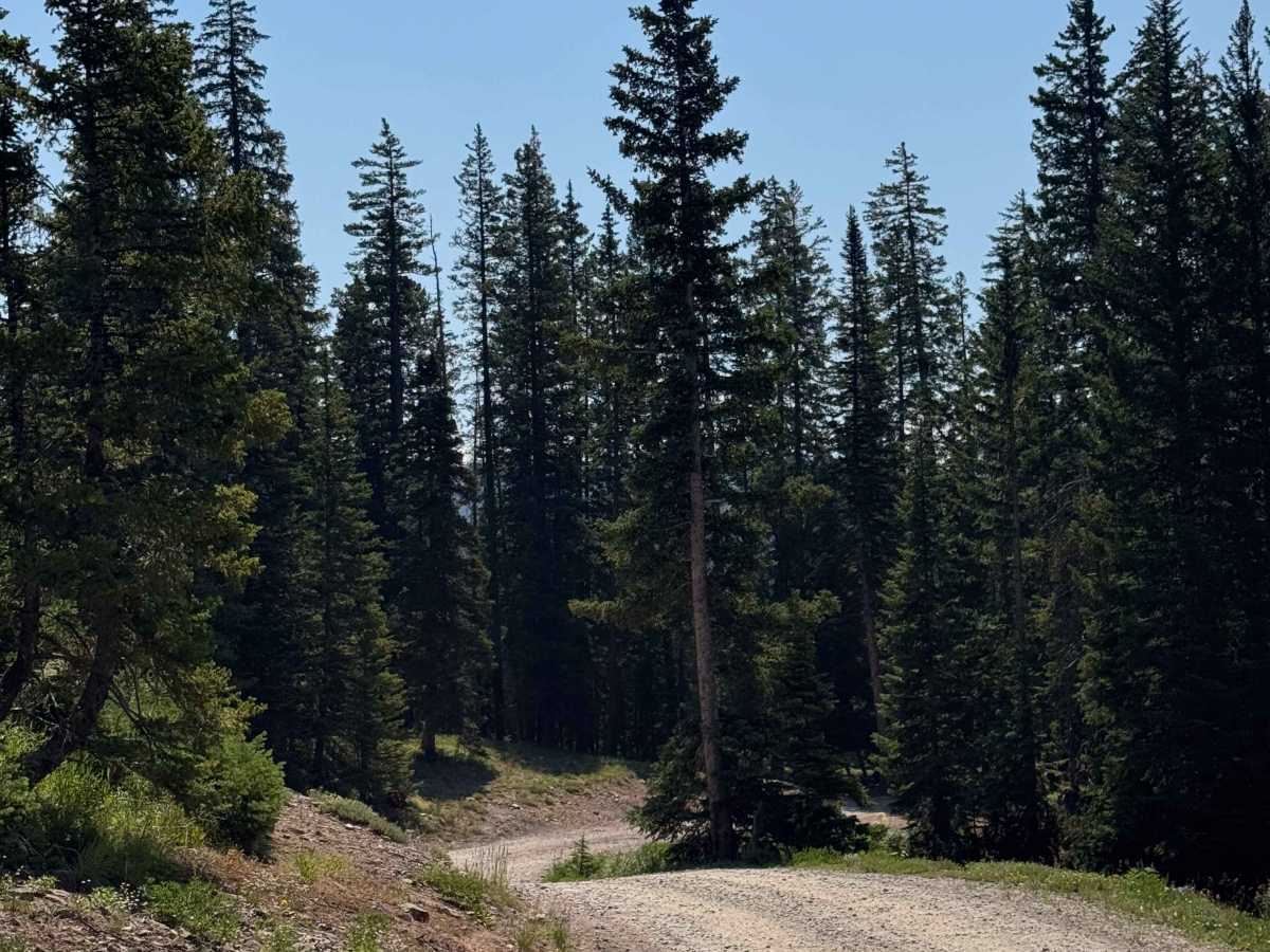 Green Lake Road photo 4