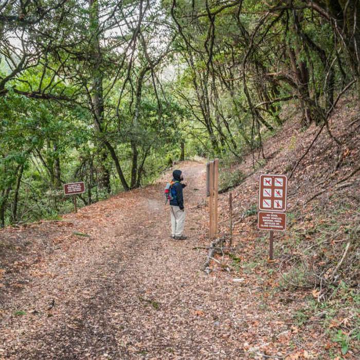 Near Skyline to the Sea Trail: Saratoga Gap to Big Basin Headquarters