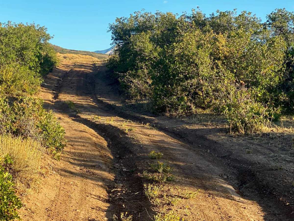 Loop Road Trail FR Rd 636 photo 2