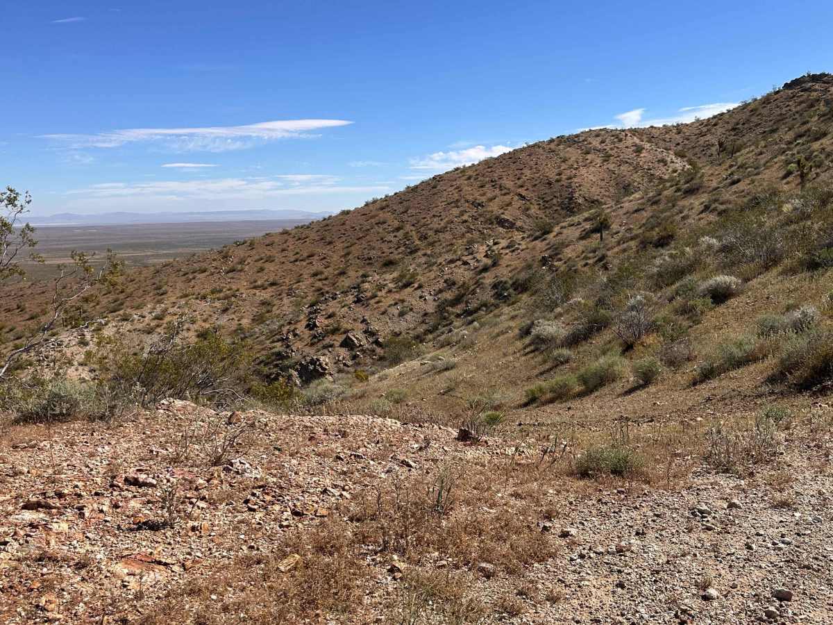Long Shadow Ridge photo 4