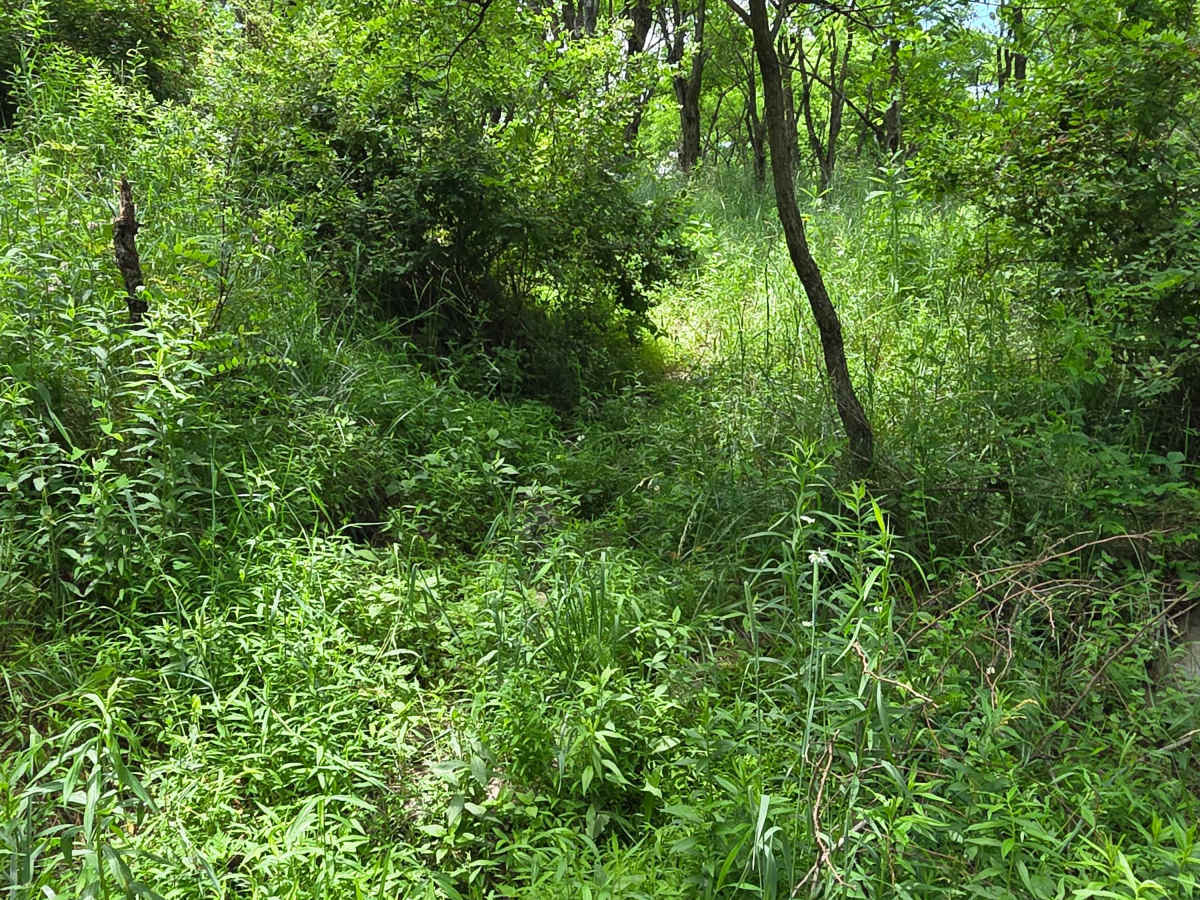 Single Track VV photo 2