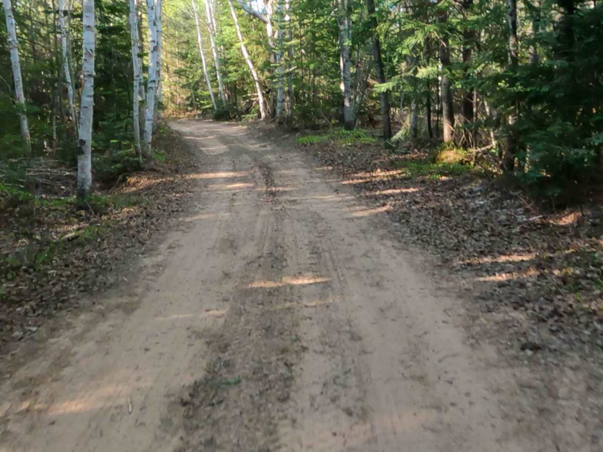 North Brooks Road photo 5