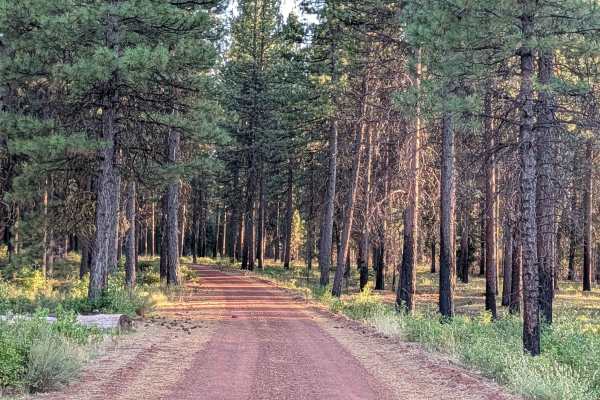 Porcupine Butte South - FS 41N36