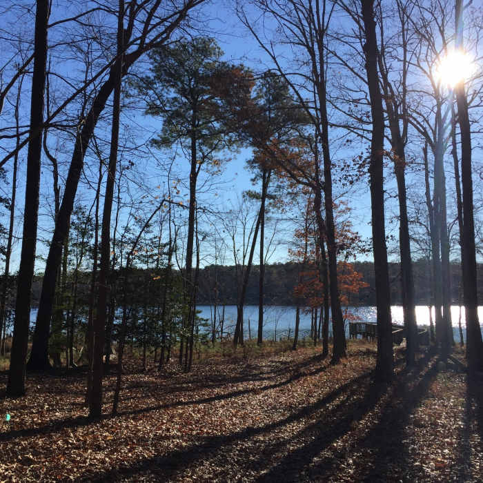 Near Long Meadow Trail