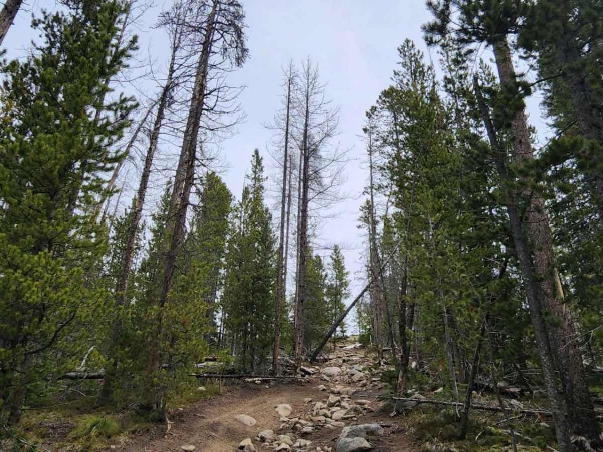 Lava Mountain Loop photo 2