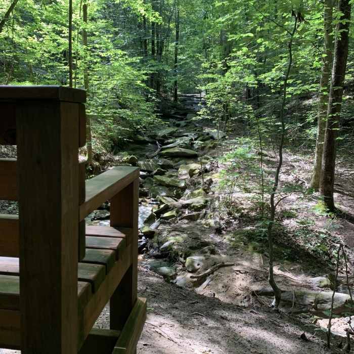 Near Mountains-to-Sea Trail: Segment 8