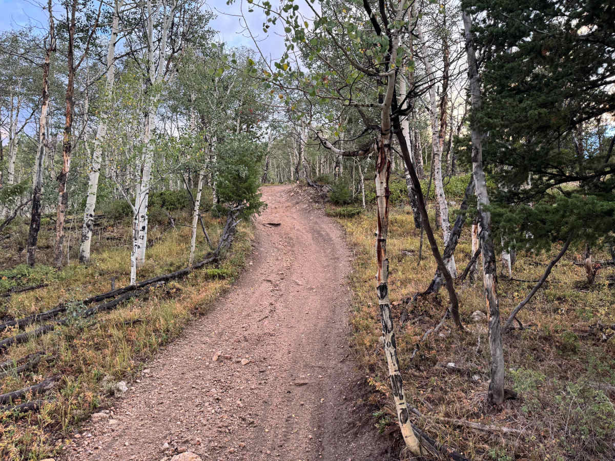 Flick Ridge Road photo 4