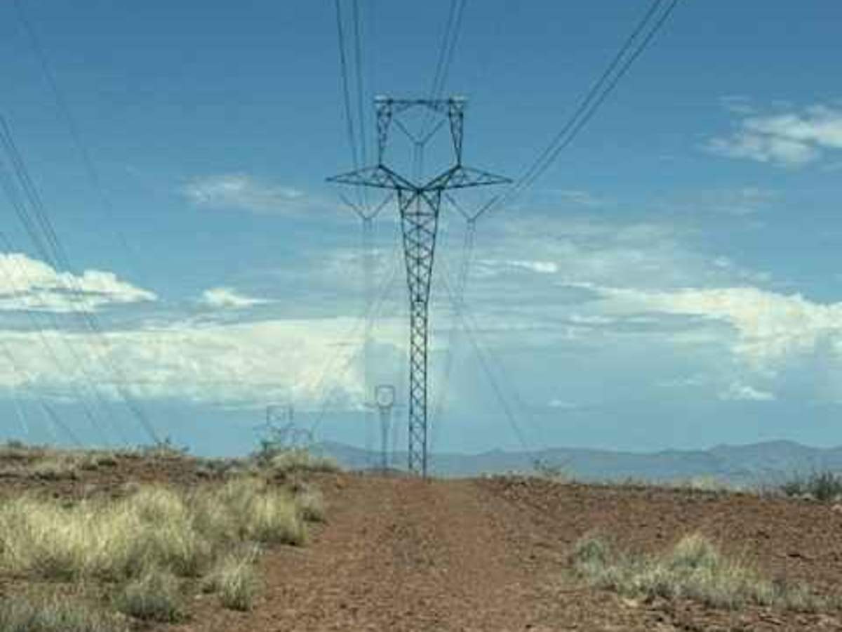 BLM PE1211 photo 2