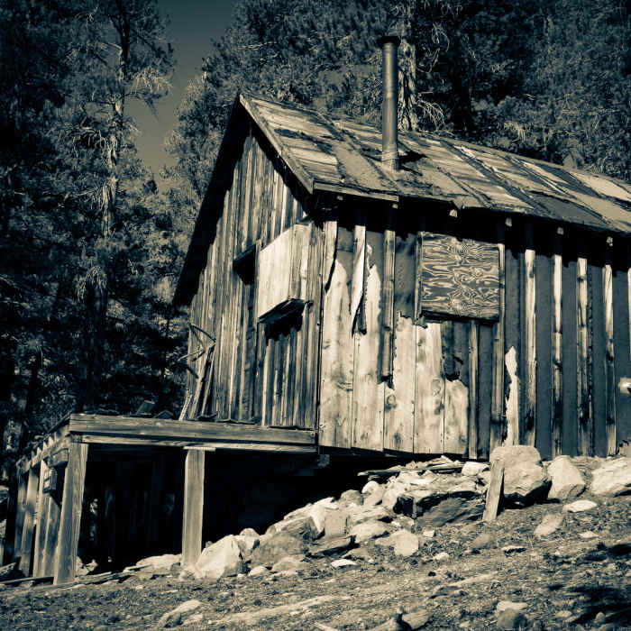 Near Heart Lake Trail