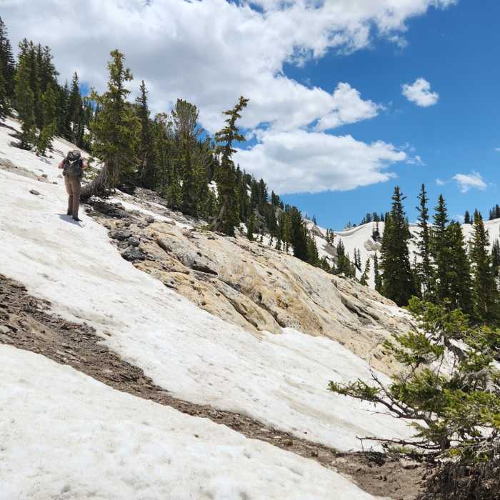 Near Prince of Wales Mine