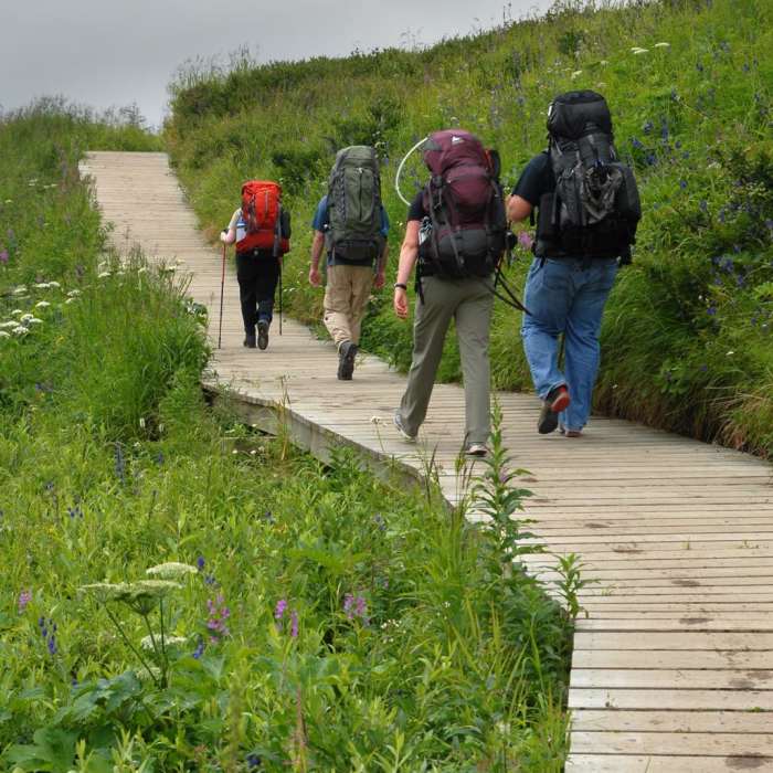 Near Williwaw Lakes + Mount Elliot Scramble