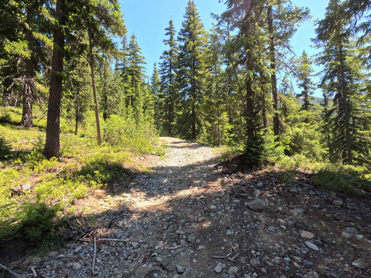 Van Epps Pass - FS 4W302 photo 2
