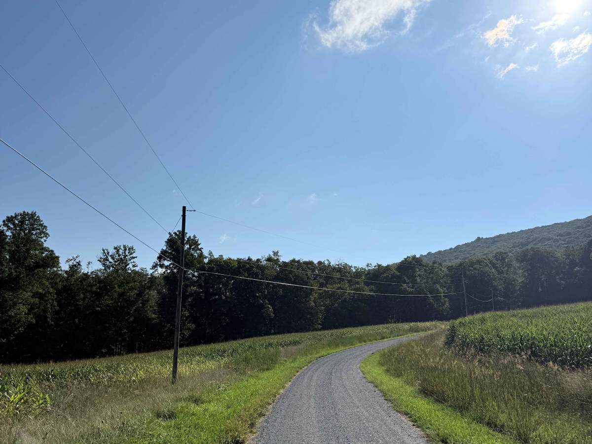Hoffman Road photo 3